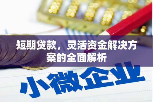 旌阳短期贷款，灵活资金解决方案的全面解析