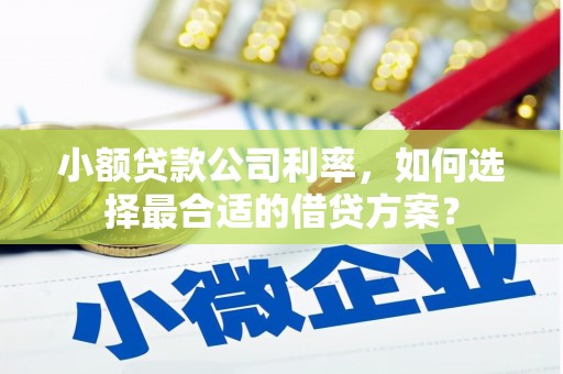 旌阳小额贷款公司利率，如何选择最合适的借贷方案？