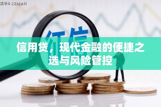 旌阳信用贷，现代金融的便捷之选与风险管控