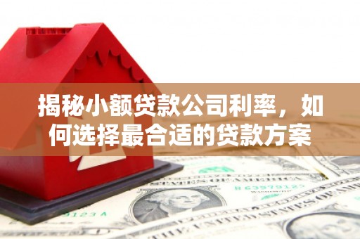 旌阳揭秘小额贷款公司利率，如何选择最合适的贷款方案