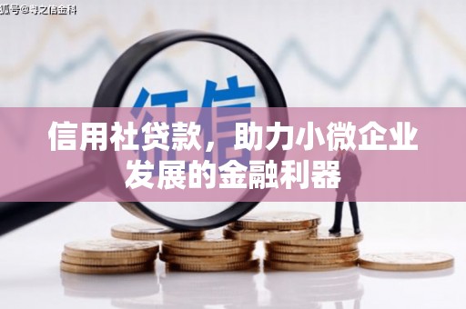 旌阳信用社贷款，助力小微企业发展的金融利器