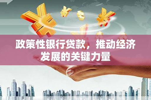 旌阳政策性银行贷款，推动经济发展的关键力量