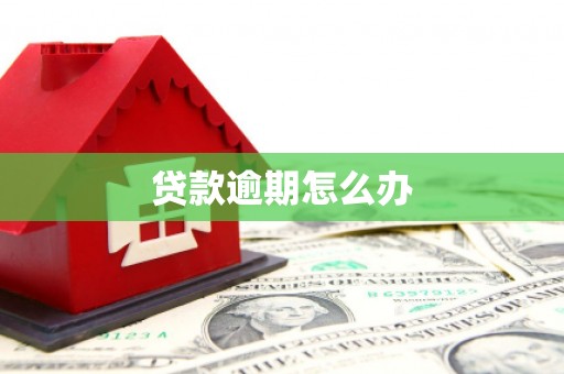 旌阳贷款逾期怎么办