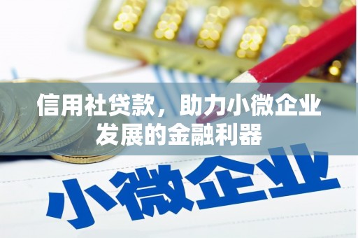 旌阳信用社贷款，助力小微企业发展的金融利器