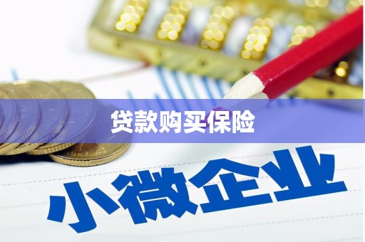 旌阳贷款购买保险