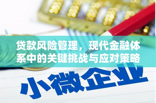 旌阳贷款风险管理，现代金融体系中的关键挑战与应对策略
