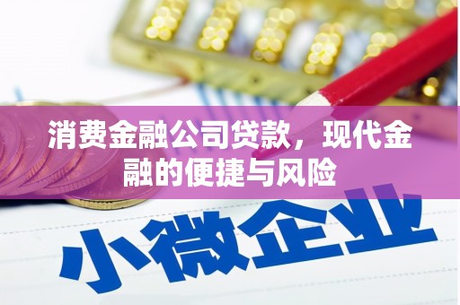 旌阳消费金融公司贷款，现代金融的便捷与风险