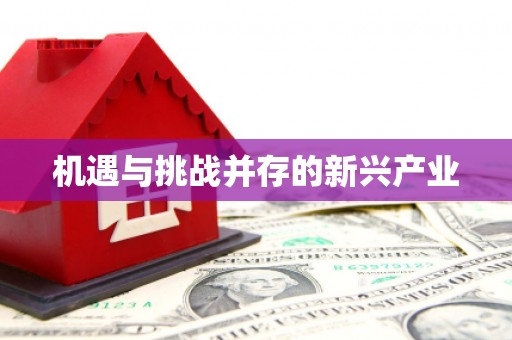 旌阳机遇与挑战并存的新兴产业
