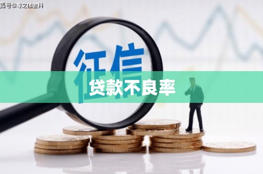 旌阳贷款不良率