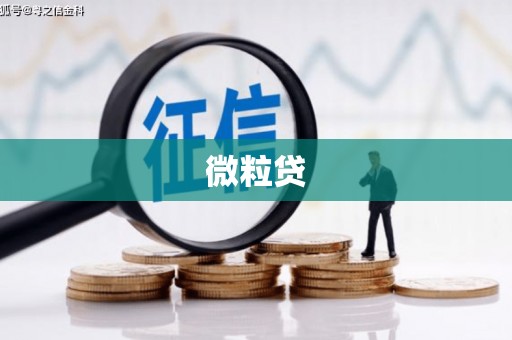 旌阳微粒贷